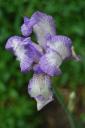 dsc_0123.JPG